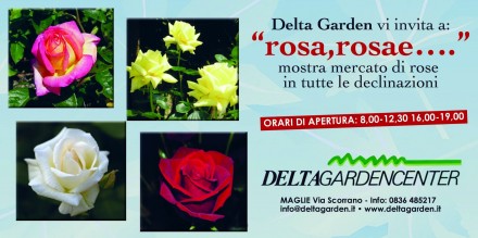 "rosa, rosae.....   2015" - www.deltagarden.it
