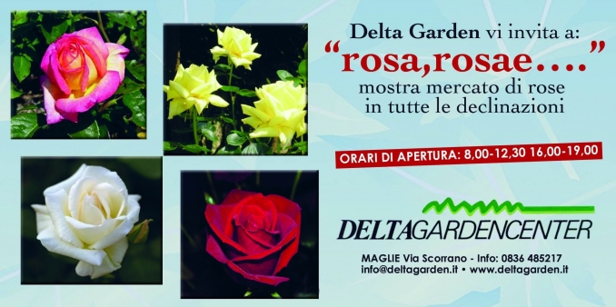 ROSA, ROSAE.... 2020 - www.deltagarden.it